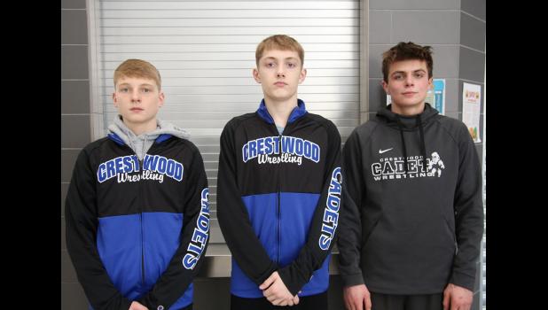 Carver Butikofer, Mitchell Williams and Carter Schmauss qualified for the Boys' State Wrestling Tourney.