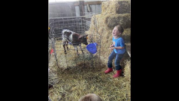 Kimberly Langum's photo 'Happy Farmer' was the Reserve Champion and took first in the Life in Iowa category.
